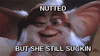1526327159674.gif