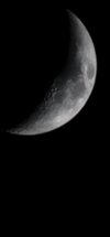 moon night.jpg
