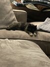 IMG_8489.jpeg