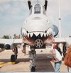 A-10 Warthog .jpg