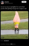 FB_IMG_1726034564882.jpg