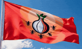bees onion flag 03bfc.gif