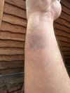 IMG_7785.jpeg