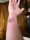 IMG_7819.jpeg