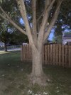 IMG_0358.jpeg