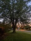 IMG_0359.jpeg