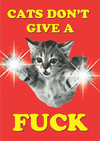 TPcats-fuck.png