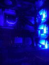 IMG_0372.jpeg