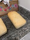 IMG_9264.jpeg