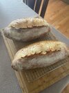 IMG_0341.jpeg