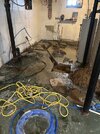 basement1.jpg