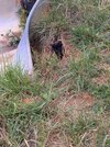 IMG_7019.jpeg