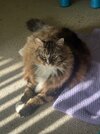 IMG_1006.jpeg