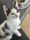IMG_2624.jpeg