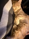 IMG_2028.jpeg