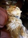 IMG_1917.jpeg