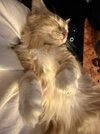 IMG_1292.jpeg