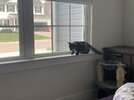 IMG_1277.jpeg IMG_1277.jpeg
