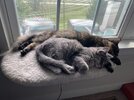 IMG_1744.jpeg IMG_1744.jpeg