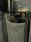 IMG_1720.jpeg IMG_1720.jpeg
