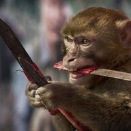 PrimeApe