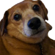 beaglebark