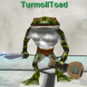 TurmoilToad