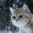 Barfingkitty