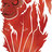 Firemonkey