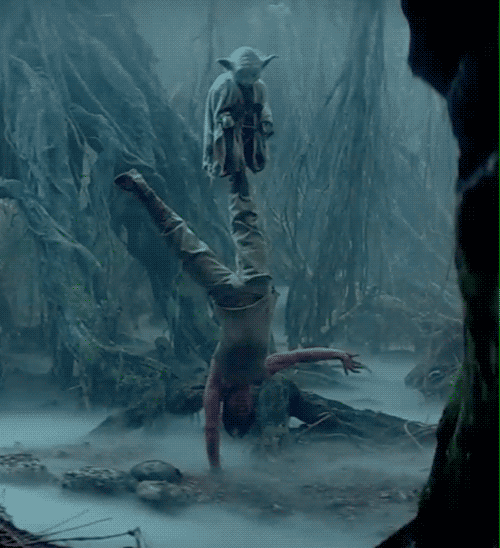 tumblr_mar9twfwZj1qzs21lo1_500.gif