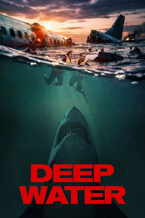 www.themoviedb.org