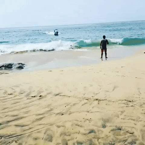 JCsmwZl9su91K.gif
