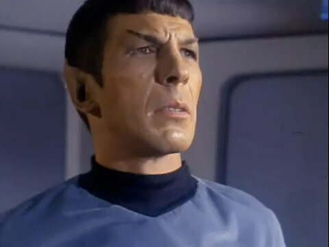 SpockFascinating012211.jpg