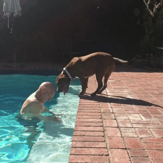 9b04b24985d3ef0abaa5f992af03c83c.gif
