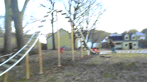 daily_gifdump_650_16.gif