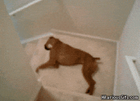 Wednesday Morning Week GIF
