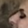 73fc5645be350c0f2e836fddaad45928.png