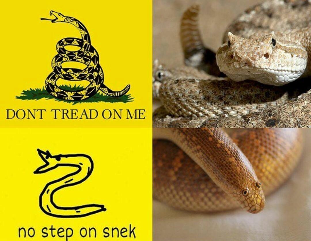 9t92xnwyw25z.jpg