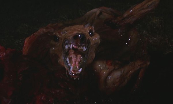 thing-1982-dog-monster-review.jpg