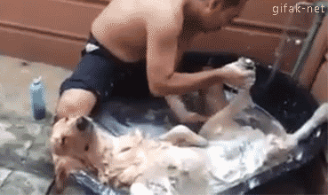 tumblr_nbiodwpbwT1s2yegdo1_r1_400.gif