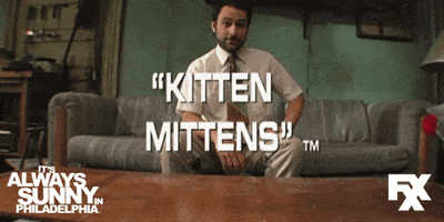 always sunny kitten GIF by It's Always Sunny in Philadelphia