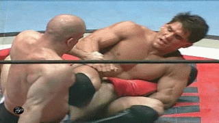 12_medium.gif