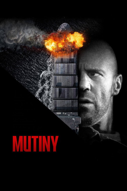 www.themoviedb.org