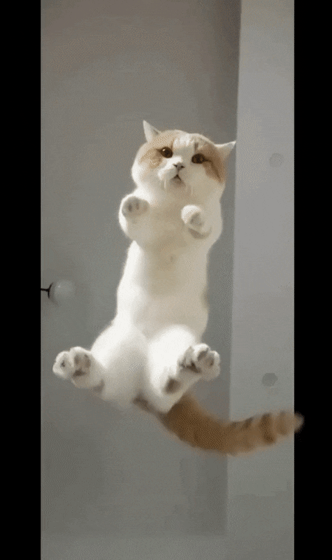 Backtoschool082.gif