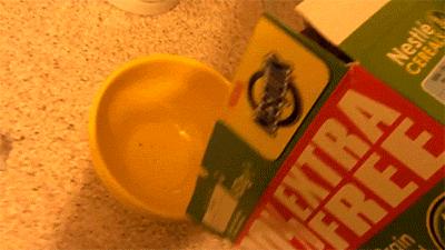 facepalm_moments_35.gif