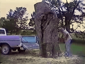 nUJnJLg.gif