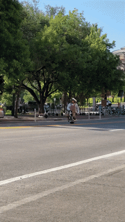 Freedomring363.gif