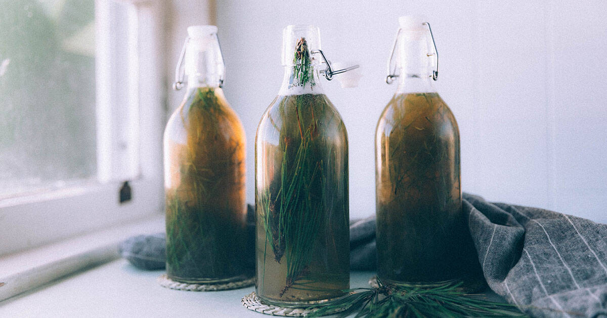 www.growforagecookferment.com