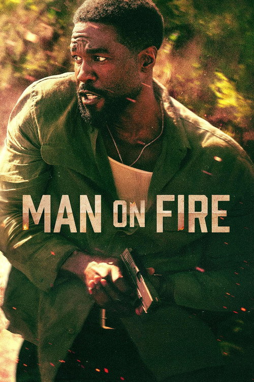 www.themoviedb.org