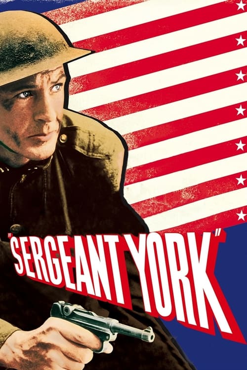 www.themoviedb.org